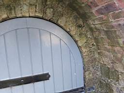 icehouse_106380.jpg