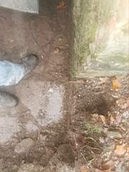 icehouse_1106825.jpg