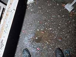 icehouse_1106940.jpg