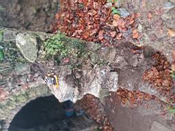 icehouse_1107050.jpg