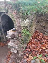 icehouse_1107060.jpg