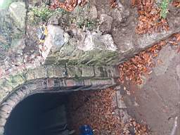icehouse_1107070.jpg