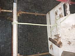 icehouse_1107140.jpg