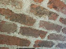 icehouse_1108030.jpg