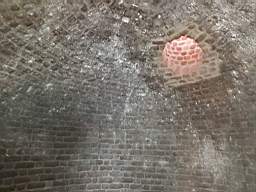 icehouse_1108060.jpg