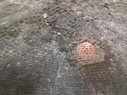 icehouse_1108070.jpg