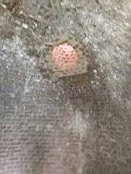 icehouse_1108074.jpg