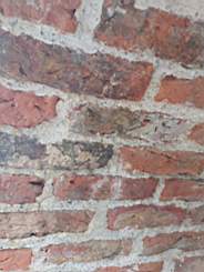 icehouse_1108760.jpg
