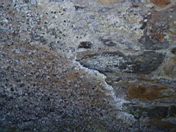 kiltibrid-1113.jpg