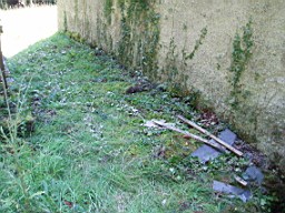 kiltibrid-1116.jpg