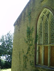 kiltibrid-1119.jpg