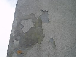 lummers-1156.jpg