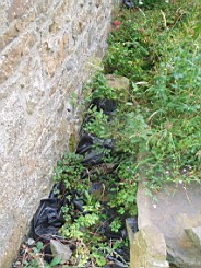 lummers-1159.jpg