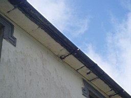lummers-1167.jpg