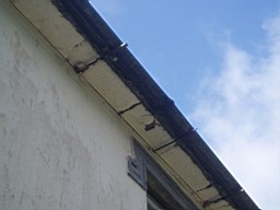 lummers-1168.jpg