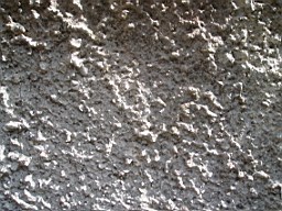 lummers-1172.jpg