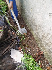 lummers-1358.jpg