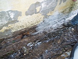lummers-1373.jpg
