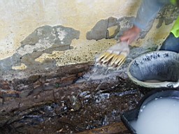 lummers-1375.jpg
