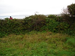 inismorschool-1159.JPG