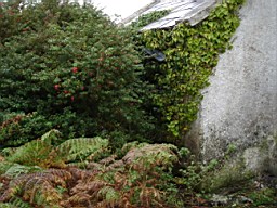 inismorschool-1169.JPG