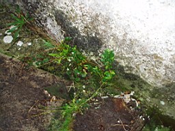 inismorschool-1253.jpg