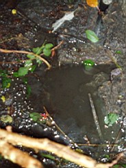 inismorschool-1258.jpg