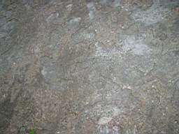 inismorschool-1262.jpg