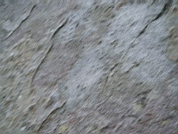 inismorschool-1266.jpg