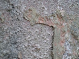 inismorschool-1267.jpg