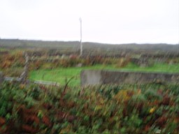 inismorschool-1268.jpg