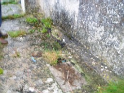 inismorschool-1269.jpg