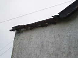 inismorschool-1272.jpg