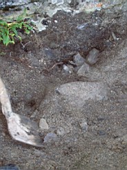 inismorschool-1554.jpg