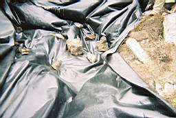 inismorschool-3051.JPG