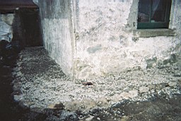 inismorschool-3105.JPG