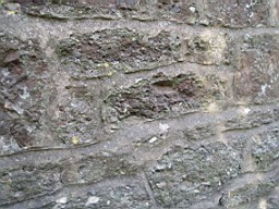 standrews-1369.jpg