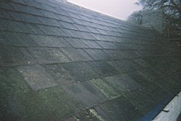 ardglasson-1103.JPG