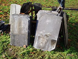 ardglasson-1484.jpg