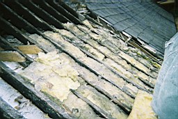 ardglasson-1531.JPG