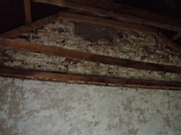 carrowcrory-1132.jpg