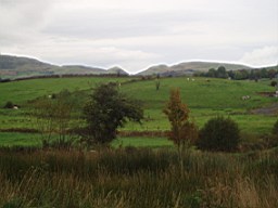carrowcrory-1148.jpg
