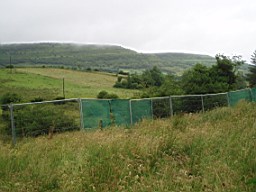 carrowcrory-1204.jpg