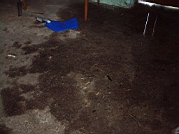 carrowcrory-1218.jpg