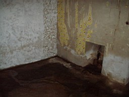 carrowcrory-1228.jpg
