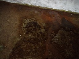 carrowcrory-1229.jpg
