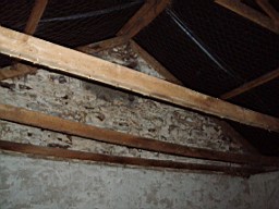 carrowcrory-1233.jpg