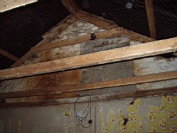 carrowcrory-1235.jpg