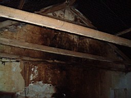 carrowcrory-1240.jpg