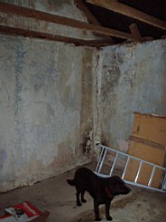 carrowcrory-1242.jpg